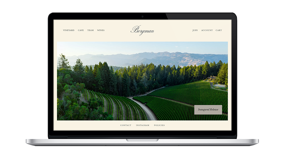 Website for Bergman
